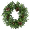 27"Artificial Boxwood And Pine Cone Christmas Wreath-Unlit -Optimal Christmas Shop northlight ll89744 1 sample 58389.1667535659