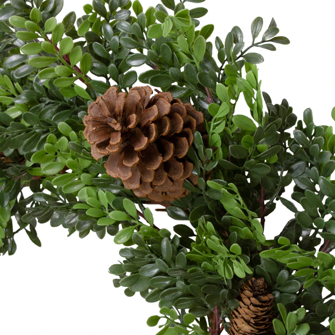 27"Artificial Boxwood And Pine Cone Christmas Wreath-Unlit 5 27"Artificial Boxwood And Pine Cone Christmas Wreath-Unlit - Image 3