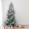 6.5' Flocked Little River Fir Artificial Christmas Tree - Unlit -Optimal Christmas Shop northlight lt91586updated 56184.1667663811