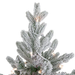 4' Pre-Lit Flocked Saratoga Spruce Artificial Christmas Tree In Pot - Clear Lights 10 4' Pre-Lit Flocked Saratoga Spruce Artificial Christmas Tree In Pot - Clear Lights -Optimal Christmas Shop northlight lt91590 1 61340.1667573177