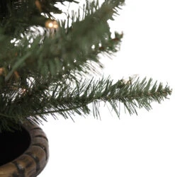 Set Of 2 Pre-Lit Potted Porch Pine Topiary Slim Artificial Christmas Trees 4' - Clear Lights -Optimal Christmas Shop northlight m88589 5 updated 26552.1667656487