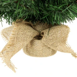 18" Medium Traditional Green Mini Pine Artificial Christmas Tree In Burlap Sack - Unlit 7 18" Medium Traditional Green Mini Pine Artificial Christmas Tree In Burlap Sack - Unlit -Optimal Christmas Shop northlight m88702 3 33922.1669400840