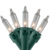 100-Count Clear Mini Christmas Light Set, 20.25ft Green Wire -Optimal Christmas Shop northlight nl02342 97833.1671318749