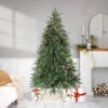 7.5' Pre-Lit Medium Hunter Fir Artificial Christmas Tree - Multicolor Lights 1 7.5' Pre-Lit Medium Hunter Fir Artificial Christmas Tree - Multicolor Lights -Optimal Christmas Shop northlight nl15073 79388.1667570066