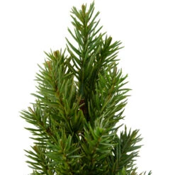 17" Mini Tabletop Christmas Tree With Red Metal Pot - Unlit 9 17" Mini Tabletop Christmas Tree With Red Metal Pot - Unlit -Optimal Christmas Shop northlight sf89158 3 sample 38471.1667658117