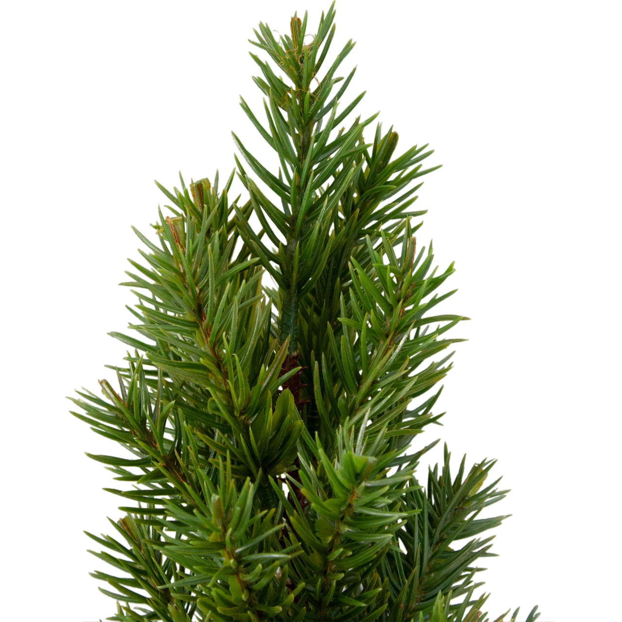 17" Mini Tabletop Christmas Tree With Red Metal Pot - Unlit 6 17" Mini Tabletop Christmas Tree With Red Metal Pot - Unlit - Image 4