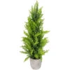 17" Upswept Frosted Cedar Artificial Christmas Tree - Unlit -Optimal Christmas Shop northlight sf89186 1 sample 24865.1667573270