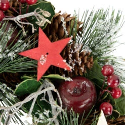 Apples, Stars And Pine Cones Frosted Artificial Christmas Wreath, 10-Inch, Unlit -Optimal Christmas Shop northlight sh03927 3 19245.1672767379