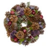 Iced Pine Cones With Berries Artificial Christmas Wreath, 10-Inch, Unlit -Optimal Christmas Shop northlight sh36228 1 05445.1667534274
