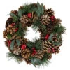Green Mixed Foliage And Apple Artificial Christmas Wreath, 13.75-Inch, Unlit 1 Green Mixed Foliage And Apple Artificial Christmas Wreath, 13.75-Inch, Unlit -Optimal Christmas Shop northlight sh94277 1new 93375.1667946558