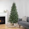 6.5' Pre-Lit Slim Granville Fraser Fir Artificial Christmas Tree, Clear Lights -Optimal Christmas Shop northlight sm92911 1 68869.1667530197