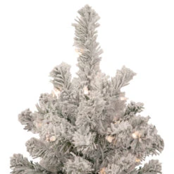 2' Pre-Lit Flocked Madison Pine Artificial Christmas Tree, Clear Lights 11 2' Pre-Lit Flocked Madison Pine Artificial Christmas Tree, Clear Lights -Optimal Christmas Shop northlight sm92915 3 84266.1667536688