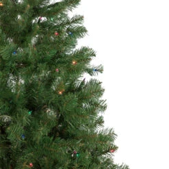 6' Pre-Lit Wilson Pine Slim Artificial Christmas Tree, Multi Lights 12 6' Pre-Lit Wilson Pine Slim Artificial Christmas Tree, Multi Lights -Optimal Christmas Shop northlight sm92990 2 65841.1667530132