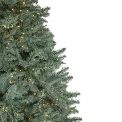 7.5' Pre-Lit Full Newport Spruce Artificial Christmas Tree, LED Lights 13 7.5' Pre-Lit Full Newport Spruce Artificial Christmas Tree, LED Lights -Optimal Christmas Shop northlight sm92996 2 83300.1667535772