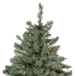 7.5' Pre-Lit Full Newport Spruce Artificial Christmas Tree, LED Lights 14 7.5' Pre-Lit Full Newport Spruce Artificial Christmas Tree, LED Lights -Optimal Christmas Shop northlight sm92996 3 43856.1667535772