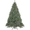 7.5' Pre-Lit Full Newport Spruce Artificial Christmas Tree, LED Lights -Optimal Christmas Shop northlight sm92996updated 96337.1667535771