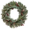 Pre-Lit Snowy Waterloo Pine Artificial Christmas Wreath - 24-Inch, Clear Lights 2 Pre-Lit Snowy Waterloo Pine Artificial Christmas Wreath - 24-Inch, Clear Lights -Optimal Christmas Shop northlight sm92999 updated 1 21708.1667530148