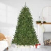 7.5' Pre-Lit Rockwood Pine Artificial Christmas Tree, Clear LED Lights -Optimal Christmas Shop northlight sm93005 1up 84374.1667531222