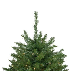 7.5' Pre-Lit Rockwood Pine Artificial Christmas Tree, Clear LED Lights -Optimal Christmas Shop northlight sm93005 4up 58546.1667531223