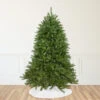 10' Rockwood Pine Artificial Christmas Tree, Unlit 1 10' Rockwood Pine Artificial Christmas Tree, Unlit -Optimal Christmas Shop northlight sm93027 1 12059.1667530171