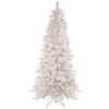 6.5' Pre-Lit Medium Flocked Norway Pine Artificial Christmas Tree, Warm White LED Lights 1 6.5' Pre-Lit Medium Flocked Norway Pine Artificial Christmas Tree, Warm White LED Lights -Optimal Christmas Shop northlight sm93361 05999.1667659654