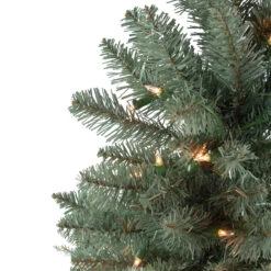 6.5' Pre-Lit Full Fairbanks Alpine Artificial Christmas Tree - Clear Lights 8 6.5' Pre-Lit Full Fairbanks Alpine Artificial Christmas Tree - Clear Lights -Optimal Christmas Shop northlight sp04284 2 48332.1667491108