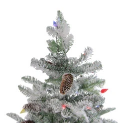 6.5' Pre-Lit Flocked Dunton Spruce Slim Artificial Christmas Tree - Multi Lights 10 6.5' Pre-Lit Flocked Dunton Spruce Slim Artificial Christmas Tree - Multi Lights -Optimal Christmas Shop northlight sp15001 3 39370.1667572646