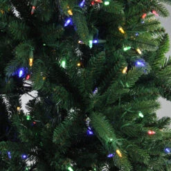 7.5' Pre-Lit Full Instant Connect Noble Fir Artificial Christmas Tree - Dual LED Lights 10 7.5' Pre-Lit Full Instant Connect Noble Fir Artificial Christmas Tree - Dual LED Lights -Optimal Christmas Shop northlight sp15011 4 55408.1667536305