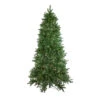 9' Pre-Lit Instant Connect Neola Fraser Fir Artificial Christmas Tree - Dual LED Lights 2 9' Pre-Lit Instant Connect Neola Fraser Fir Artificial Christmas Tree - Dual LED Lights -Optimal Christmas Shop northlight sp15020updated 47073.1667659730