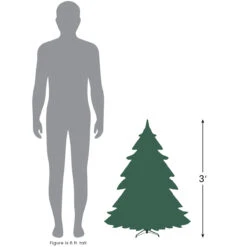 3' Pre-Lit Viella Norway Spruce Artificial Christmas Tree - Clear Lights 7 3' Pre-Lit Viella Norway Spruce Artificial Christmas Tree - Clear Lights -Optimal Christmas Shop northlight sp15037 3 77549.1683224769