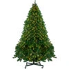 14' Pre-Lit Full Olympia Pine Artificial Christmas Tree - Warm White Lights 1 14' Pre-Lit Full Olympia Pine Artificial Christmas Tree - Warm White Lights -Optimal Christmas Shop northlight th28353 same20as20th28355 84058.1667572684