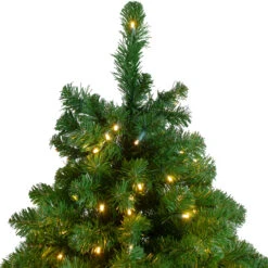 7.5' Pre-Lit Slim Olympia Pine Artificial Christmas Tree - Warm White Lights -Optimal Christmas Shop northlight th 1 87207.1667536402