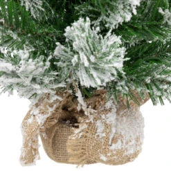 22" Flocked Pine Full Artificial Christmas Tree In Burlap Base - Unlit 11 22" Flocked Pine Full Artificial Christmas Tree In Burlap Base - Unlit -Optimal Christmas Shop northlight v03955 4new 16815.1669994745
