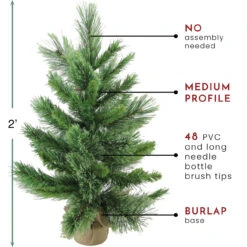 2' Potted Mixed Cashmere Pine Medium Artificial Christmas Tree, Unlit -Optimal Christmas Shop northlight v03956 thumbnail 32264.1683644086