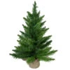 24" Mini Balsam Pine Artificial Christmas Tree In Burlap Base, Unlit -Optimal Christmas Shop northlight v03995 updated2022 25630.1667488327