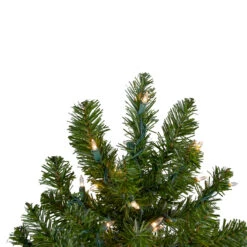 3' Pre-Lit Full Canadian Pine Artificial Christmas Tree - Clear Lights -Optimal Christmas Shop northlight v15846 2updated 84500.1667536315