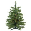 2' Pre-Lit Medium Canadian Pine Artificial Christmas Tree - Warm Clear Lights 2 2' Pre-Lit Medium Canadian Pine Artificial Christmas Tree - Warm Clear Lights -Optimal Christmas Shop northlight v15847 1update 13285.1667580396