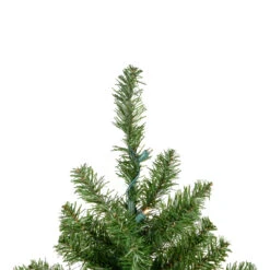 2' Pre-Lit Medium Canadian Pine Artificial Christmas Tree - Warm Clear Lights 10 2' Pre-Lit Medium Canadian Pine Artificial Christmas Tree - Warm Clear Lights -Optimal Christmas Shop northlight v15847 3updated 29824.1667580397