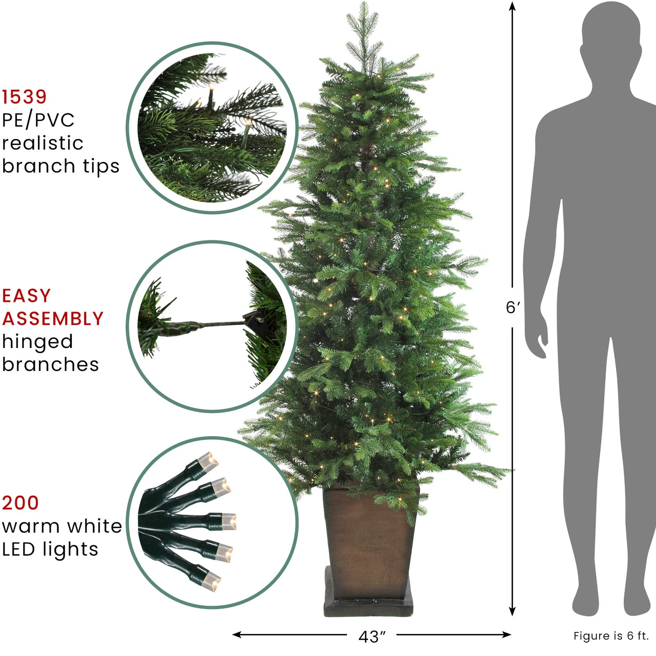 6' Pre-Lit Potted Oregon Noble Fir Slim Artificial Christmas Tree - Clear LED Lights 7 6' Pre-Lit Potted Oregon Noble Fir Slim Artificial Christmas Tree - Clear LED Lights - Image 5