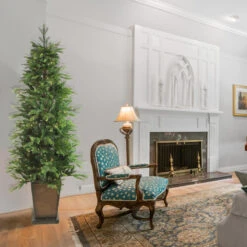 6' Pre-Lit Potted Oregon Noble Fir Slim Artificial Christmas Tree - Warm White LED Lights 15 6' Pre-Lit Potted Oregon Noble Fir Slim Artificial Christmas Tree - Warm White LED Lights -Optimal Christmas Shop northlight v15850 3 95661.1667519988