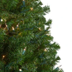6' Pre-Lit Medium Canadian Pine Artificial Christmas Tree, Clear Lights -Optimal Christmas Shop northlight v15883 1updated2022 11391.1667580400