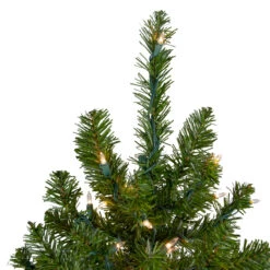 6' Pre-Lit Medium Canadian Pine Artificial Christmas Tree, Clear Lights -Optimal Christmas Shop northlight v15883 2updated 38889.1667580399
