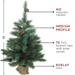 3' Potted Royal Oregon Pine Burlap Base Full Artificial Christmas Tree - Unlit -Optimal Christmas Shop northlight v15919 thumbnail 60727.1667569949