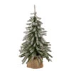 18" Potted Flocked Downswept Mini Village Pine Medium Artificial Christmas Tree - Unlit 1 18" Potted Flocked Downswept Mini Village Pine Medium Artificial Christmas Tree - Unlit -Optimal Christmas Shop northlight v15953 1 86587.1667660097