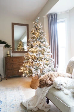 7' Pre-Lit Flocked Balsam Pine Artificial Christmas Tree - Clear Lights -Optimal Christmas Shop northlight v15958 stylized 89842.1667491242