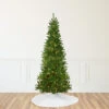 9' Pre-Lit Green Pencil Canadian Pine Artificial Christmas Tree - Clear Lights -Optimal Christmas Shop northlight v27330 31114.1667530629