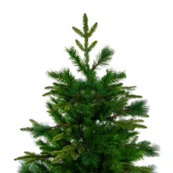 6.5' Medium Rosemary Emerald Angel Pine Artificial Christmas Tree - Unlit 8 6.5' Medium Rosemary Emerald Angel Pine Artificial Christmas Tree - Unlit -Optimal Christmas Shop northlight v27336 2 95439.1667488283