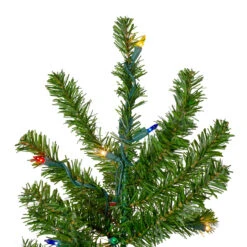 6.5' Pre-Lit Canadian Pine Slim Artificial Christmas Wall Tree - Multicolor Lights 11 6.5' Pre-Lit Canadian Pine Slim Artificial Christmas Wall Tree - Multicolor Lights -Optimal Christmas Shop northlight v27344 2 58603.1667530637