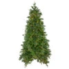 9' Pre-Lit Full Mixed Rosemary Emerald Angel Pine Artificial Christmas Tree - Clear LED Lights -Optimal Christmas Shop northlight v27351 77913.1667530615