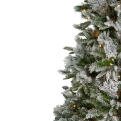 6.5' Pre-Lit LED Full Mixed Rosemary Emerald Angel Pine Artificial Christmas Tree - Clear Lights 13 6.5' Pre-Lit LED Full Mixed Rosemary Emerald Angel Pine Artificial Christmas Tree - Clear Lights -Optimal Christmas Shop northlight v27363 1 27884.1667573610